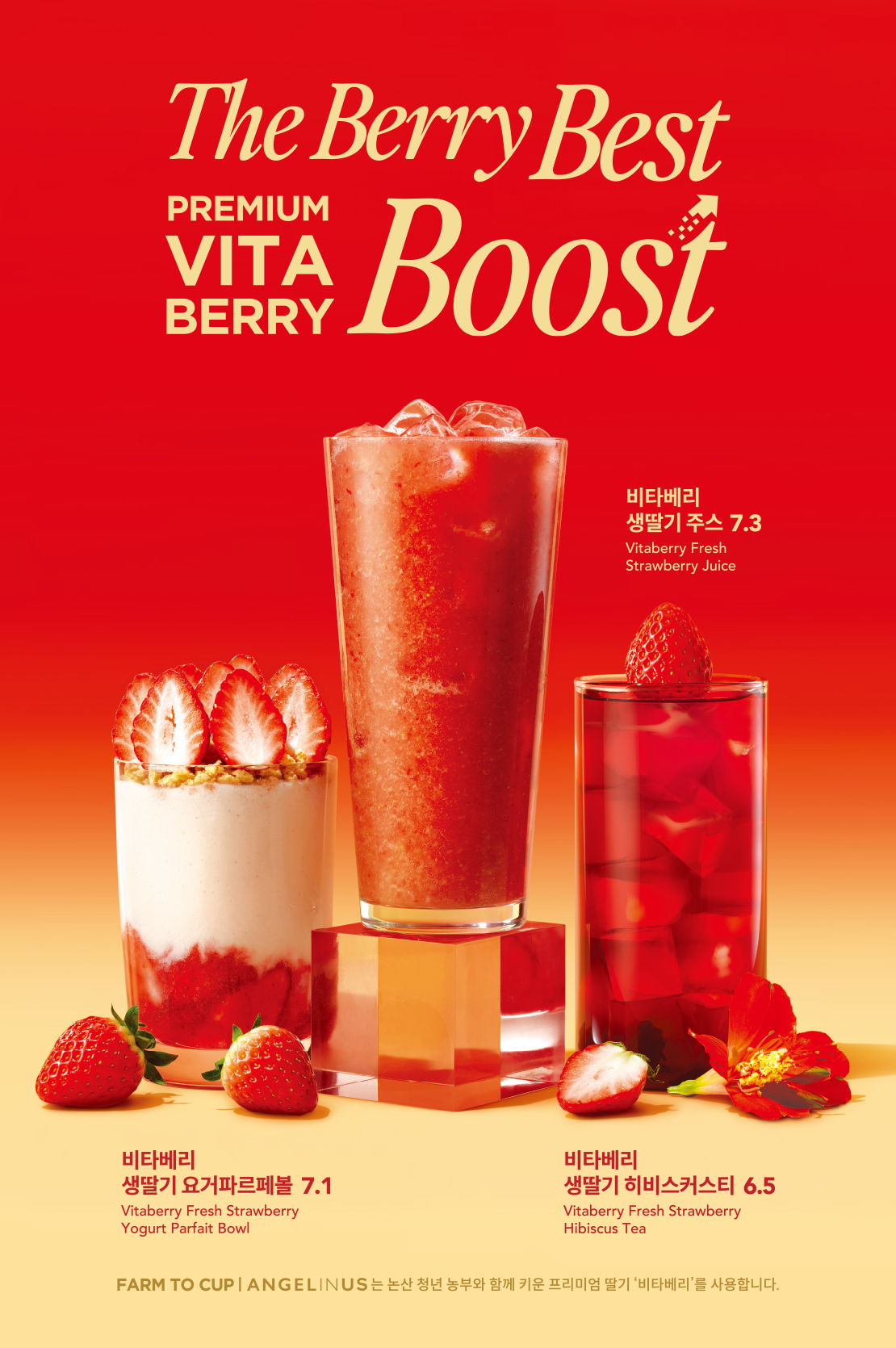 엔제리너스 '비타베리' 신제품 출시  